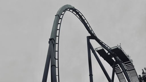 The Swarm