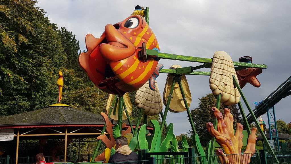 Fliegender Fisch