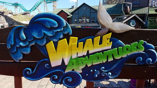 Whale Adventures - Northern Lights