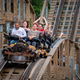 Wood Express