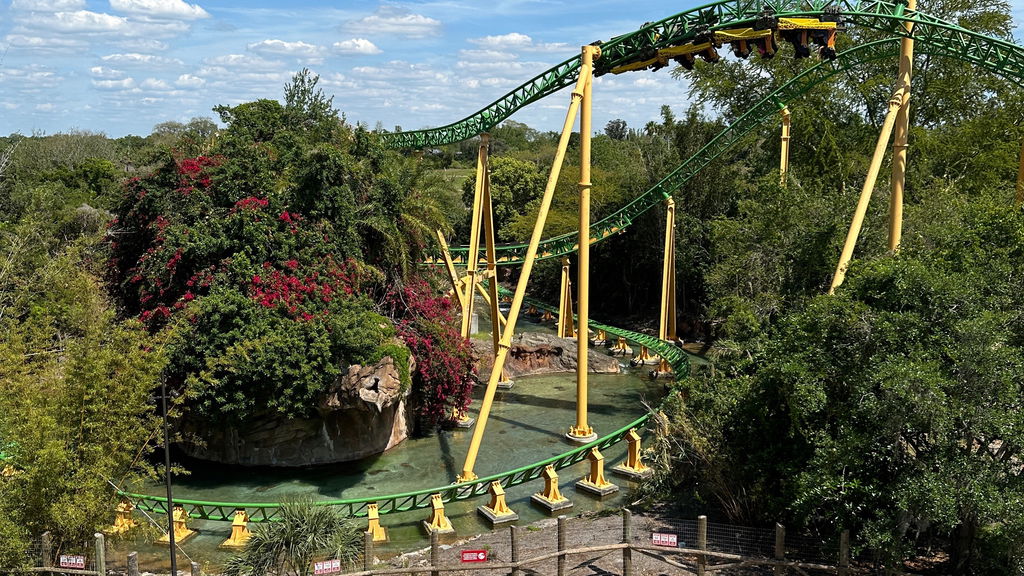 Cheetah Hunt