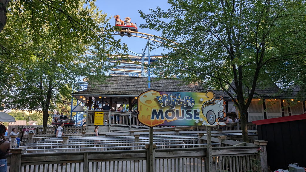 Wild Mouse