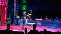 Hunde und Bubble Show