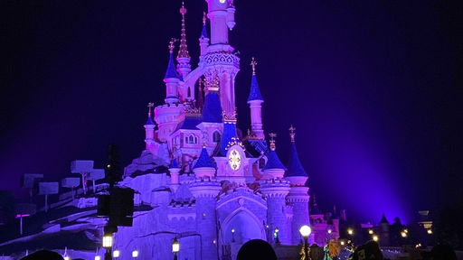 Sleeping Beauty Castle