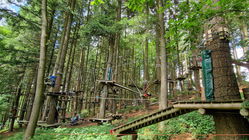 Kletterwald