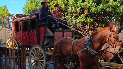 Butterfield Stagecoach