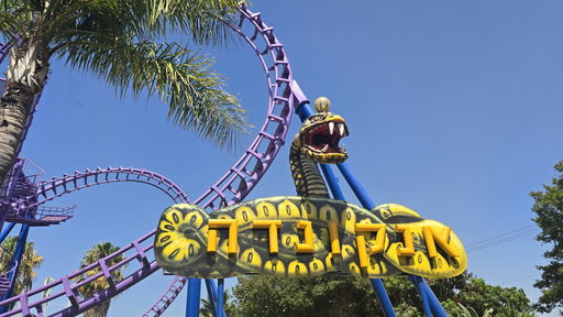 Anaconda