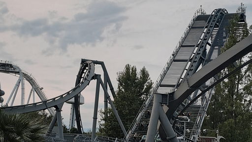 Raptor