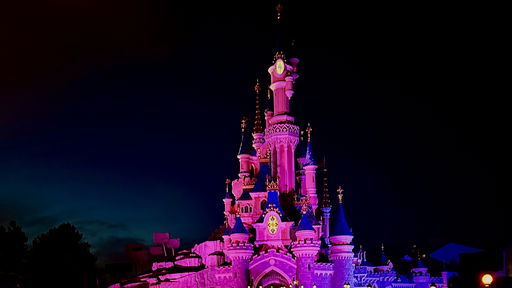 Sleeping Beauty Castle