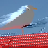 RWST