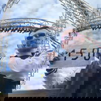 full_speed_or_die