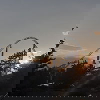 SJKCoaster