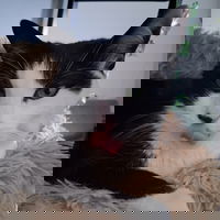 Z5ld4