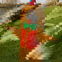 Kiki60