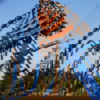 AutisticCoaster