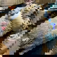 junkler