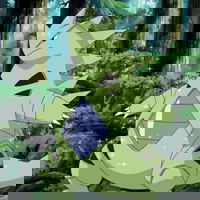 Yarkis01