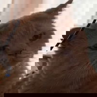 xLeoon07