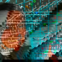 WarpSpeed