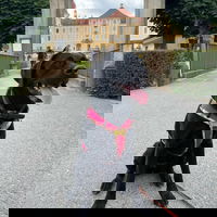 TobiiiVideos