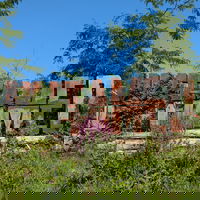 Coaster_Lui
