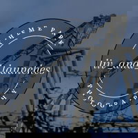 liv_and_launches