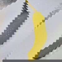 jonasrjn