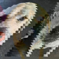Jussiii08