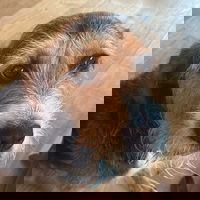 Joe4300