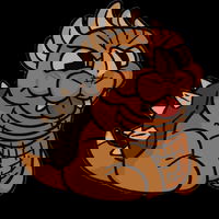 VeiledArctic