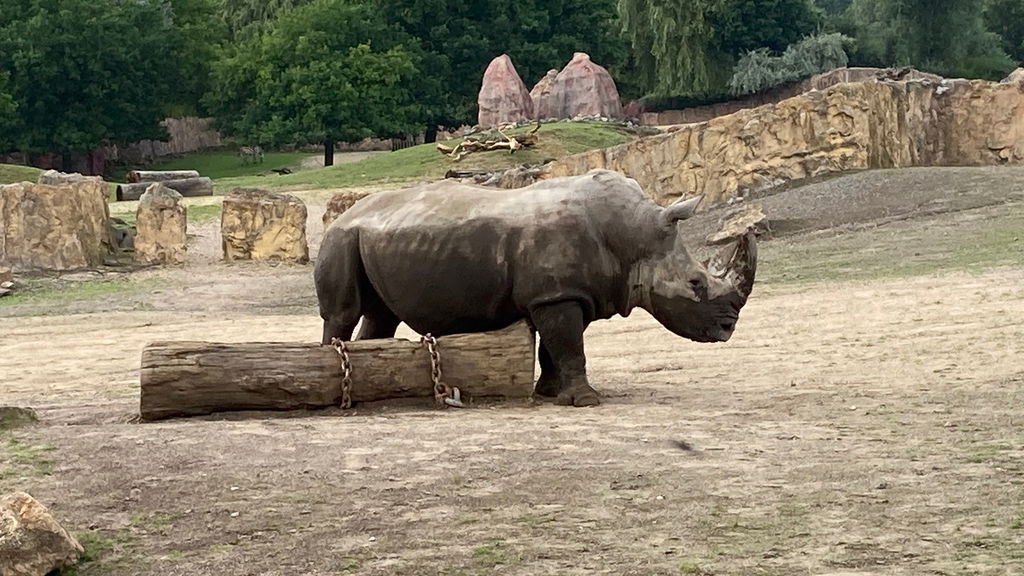 ZOOM Erlebniswelt