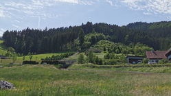 Sommerrodelbahn Gutach