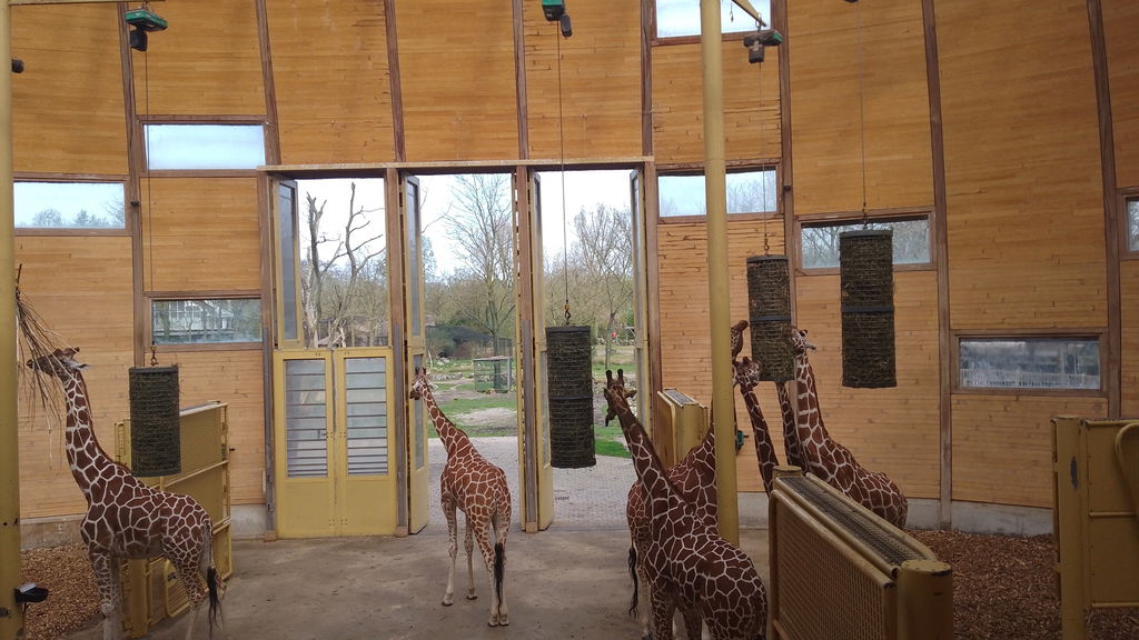 Diergaarde Blijdorp