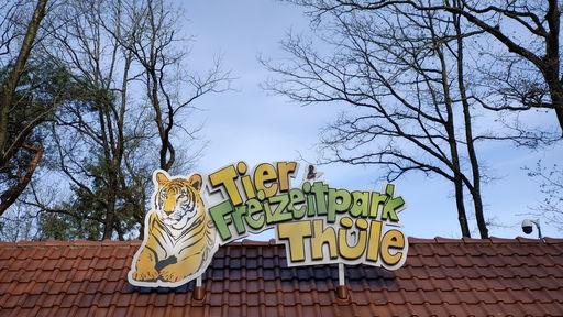 Tier und Freizeitpark Thüle