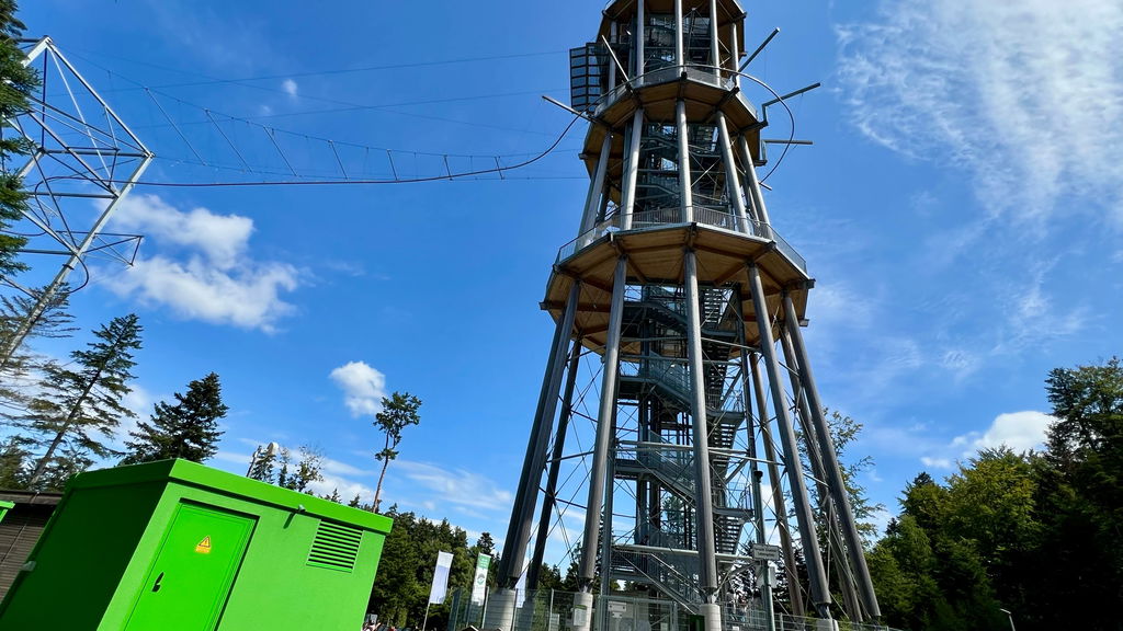 Waldflug Schömberg