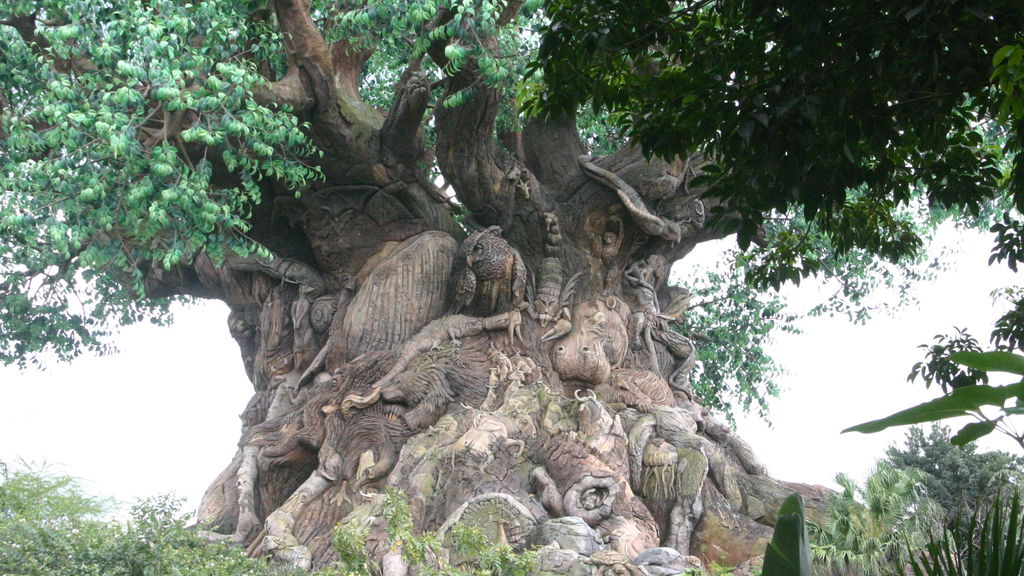 Disney's Animal Kingdom